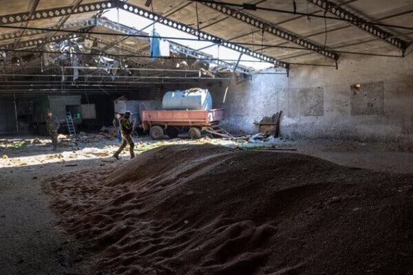 Европа предпринимает шаги, чтобы помочь украинским экспортерам зерна и масличных обойти российскую блокаду
