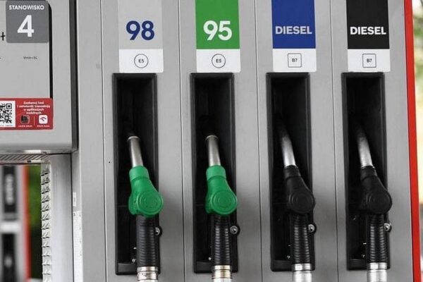 Государство должно регулировать цены на бензин