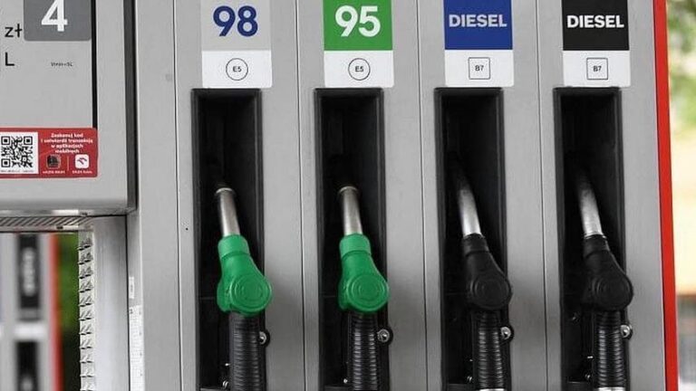 Государство должно регулировать цены на бензин