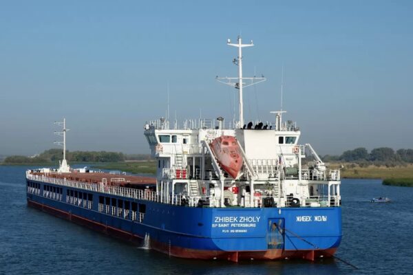 Украина попросила Турцию проверить три российских судна на предмет перевозки украденного зерна, — СМИ