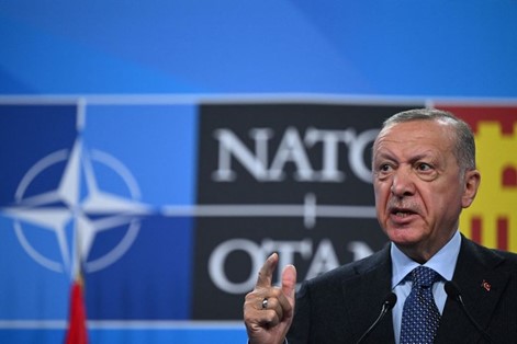 Эрдоган упустил большую возможность с НАТО