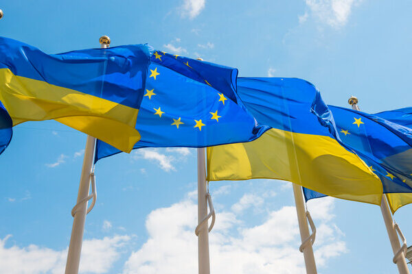 В Австрии считают, что Украина сможет вступить в ЕС после проведения реформ