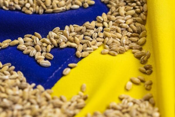 Нові кордони для українського зерна