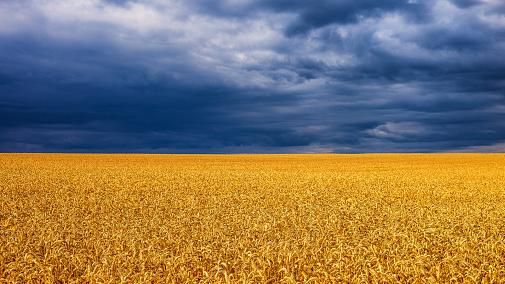 Від солідарності до конвоїв. Що розповіла зернова криза про західних сусідів, ЄС і саму Україну