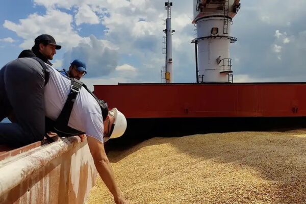 Литва запропонувала свої порти для експорту українського зерна