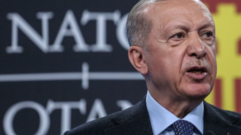 Ердоган просто прирік членство Туреччини в ЄС