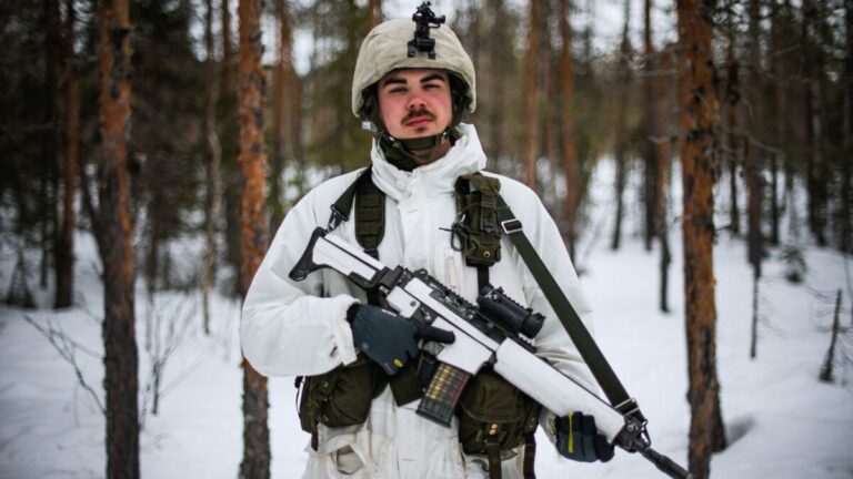 Швеція та Фінляндія надають НАТО арктичну можливість