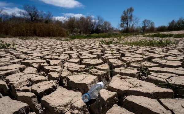 Глобальне потепління вдарить по світових запасах продовольства –  The Guardian