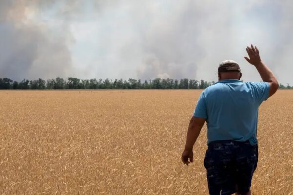 Чому польські фермери бояться імпорту українського зерна