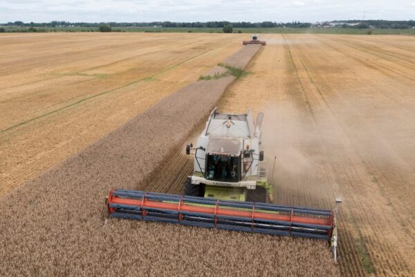 Переговори з Україною щодо зерна йдуть у «хорошому напрямку» – міністр сільського господарства Польщі