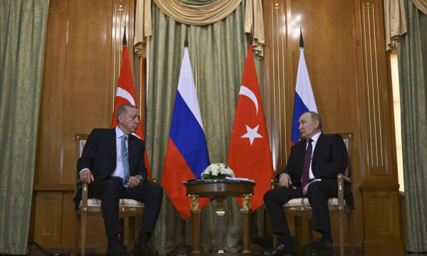 Ердоган і Путін не домовилися про відновлення «зернової угоди»