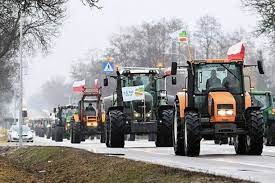 Страйк польських фермерів: кому це вигідно?