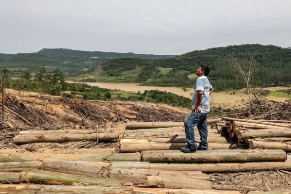 Бразилія та Колумбія стримують знищення тропічних лісів Амазонії